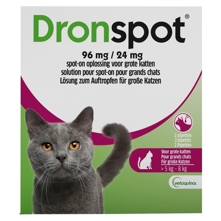 Dronspot 96mg/24mg Spot-on Kat Groot >5-8kg Pip 2