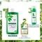Klorane Sebumregulerende Shampoo Met Brandnetel Vet Haar 200ml