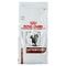 Royal Canin Cat Gastrointestinal Dry 2kg