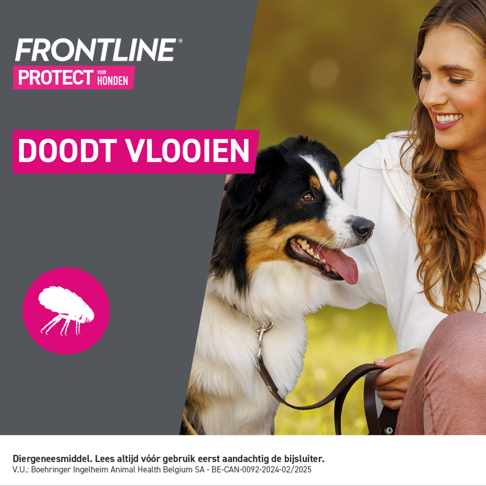 Frontline Protect Spot On Opl Hond 2-5kg Pipet 3