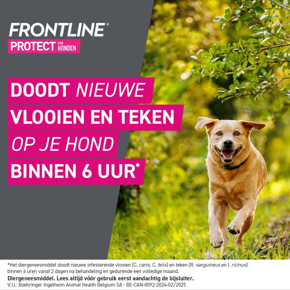 Frontline Protect Spot On Opl Hond 2-5kg Pipet 3