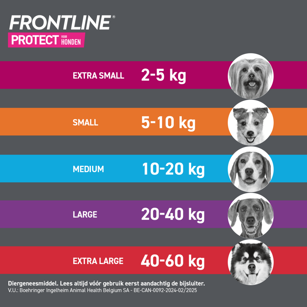 Frontline Protect Spot On Opl Hond 5-10kg Pipet 3