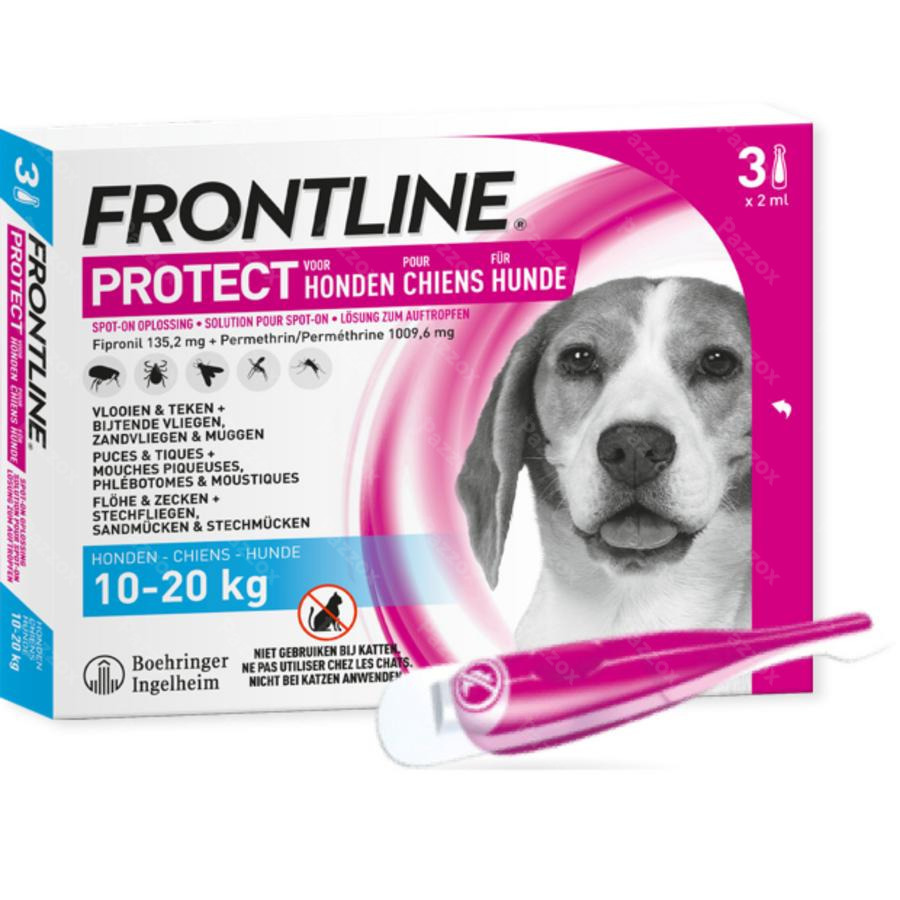Protect Spot On Opl Hond 10-20kg kopen - Pazzox