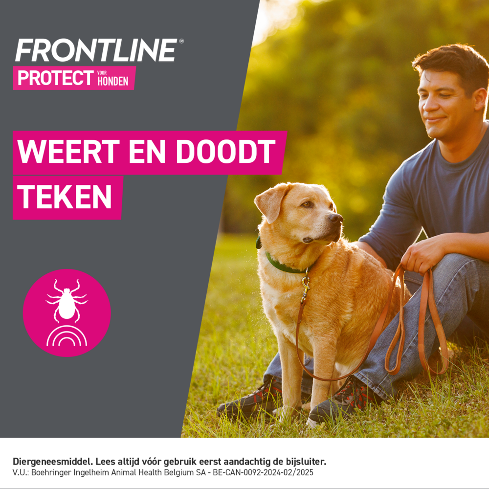 Frontline Protect Spot On Opl Hond 10-20kg Pipet 3