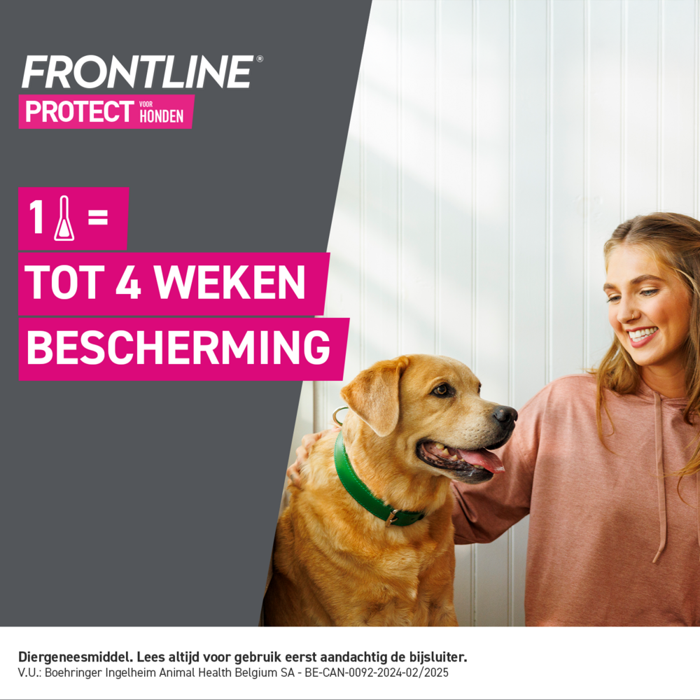 Frontline Protect Spot On Opl Hond 10-20kg Pipet 3