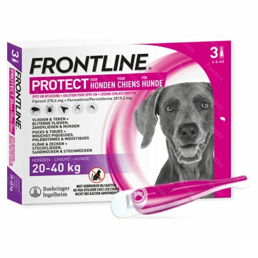 Frontline Protect Spot Hond Pipet 3 kopen Pazzox