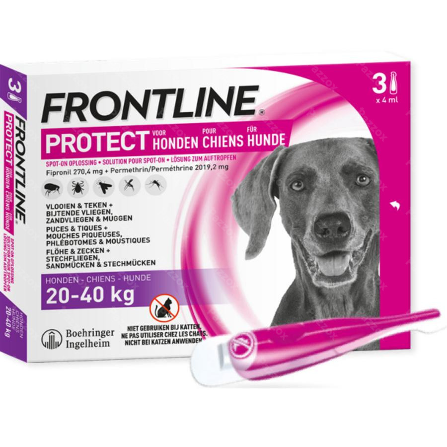 Frontline Protect Spot Hond Pipet 3 kopen Pazzox