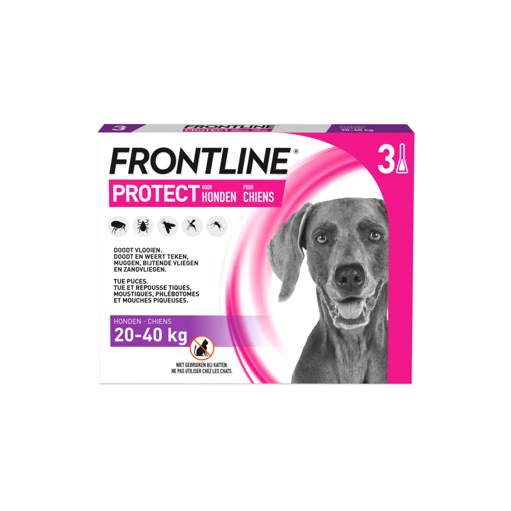 Frontline Protect Spot On Sol Chien 20-40kg Pipet3