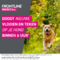 Frontline Protect Spot On Opl Hond 20-40kg Pipet 3