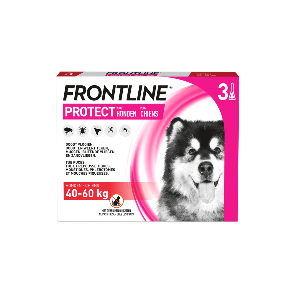 Frontline Protect Spot On Sol Chien 40-60kg Pipet3