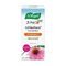 A.Vogel Echinaforce Junior + Vitamine C 80 Tabletten