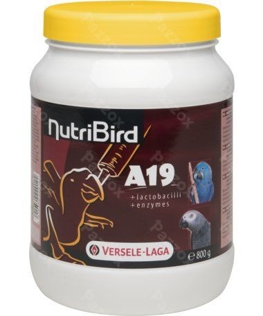 Nutribird A19 800g Aliment D'élevage à la Main Pour Aras, Gris du Gabon et Eclectus