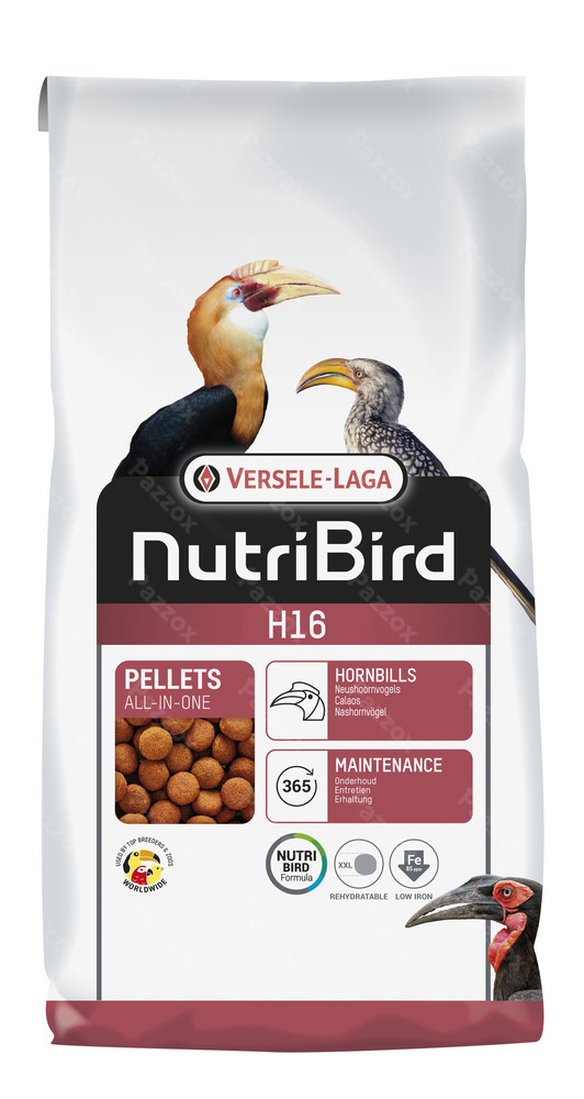 Nutribird H16 Onderhoudsvoer Voor Neushoornvogels 10kg