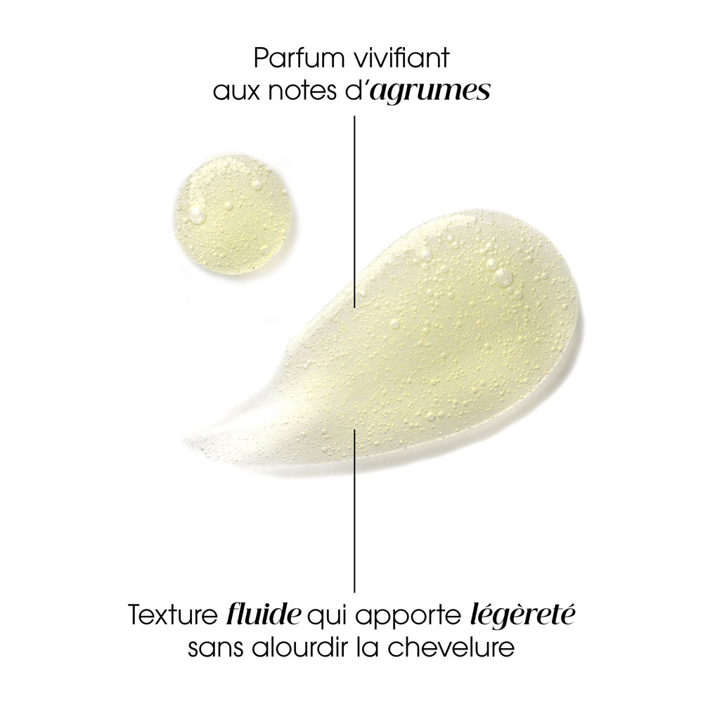 Klorane Shampooing Pulpe Cedrat 400ml Nf