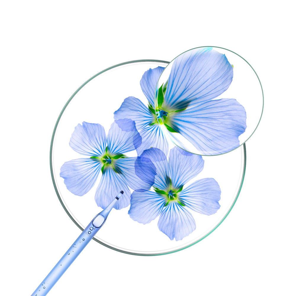 Klorane Capil. Ap/sh Lin 200ml