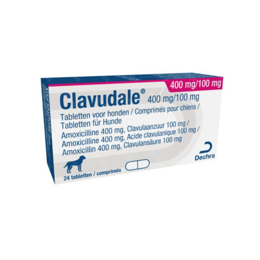 Clavudale 400mg/100mg Chien Blister Comp 120