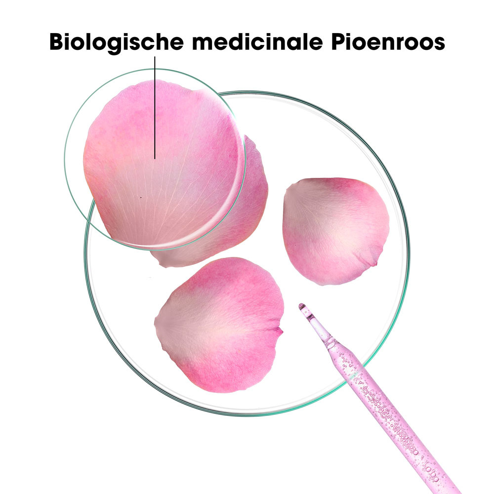 Klorane Conditioner Bio Pioenroos 150ml