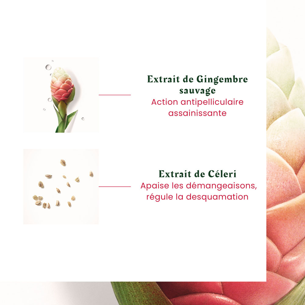 Furterer Neopur Shampooing pour Pellicules Seches 150ml