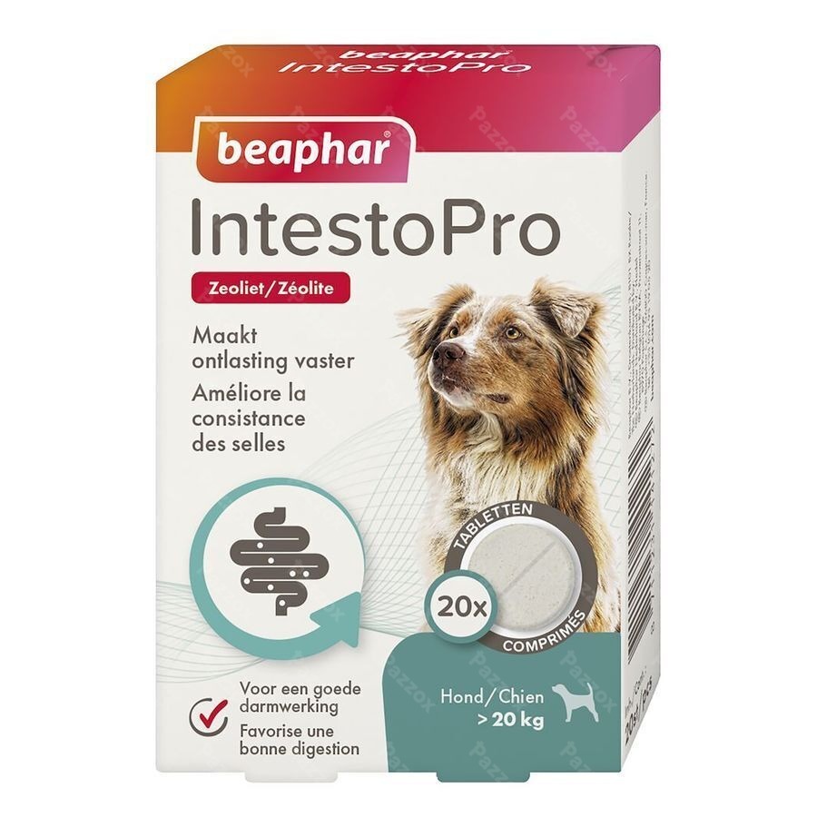 Beaphar Intesto Pro Chien M/l Comp 20