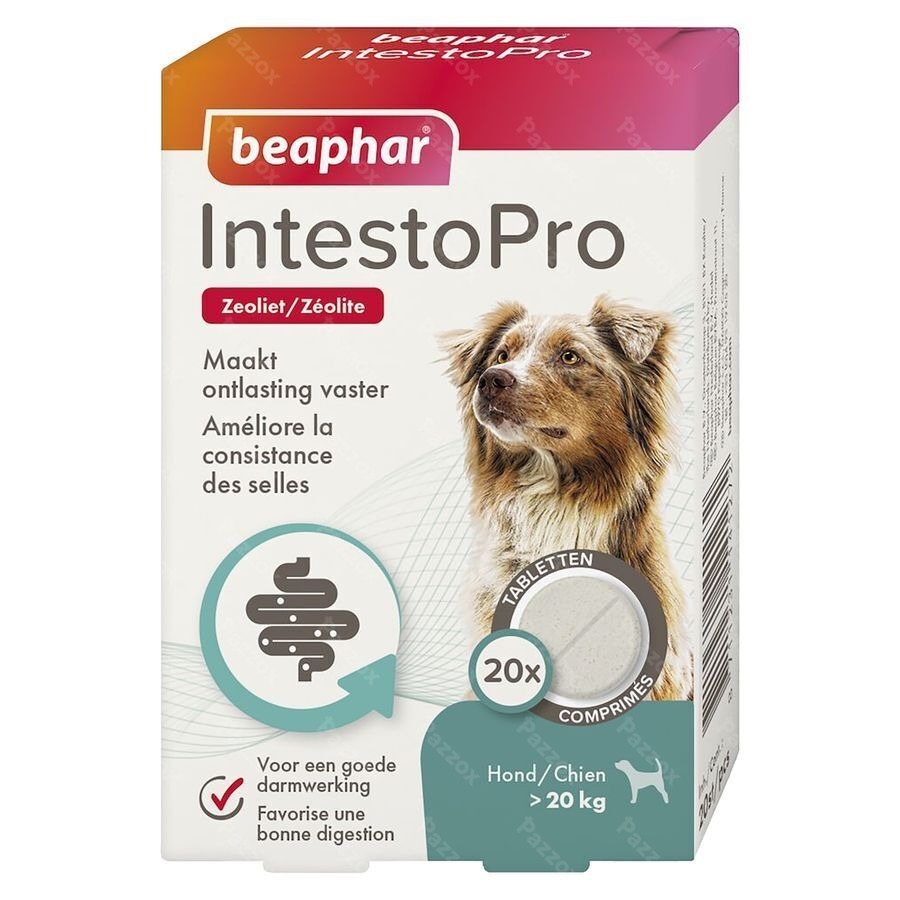 Beaphar Intesto Pro Chien M/l Comp 20