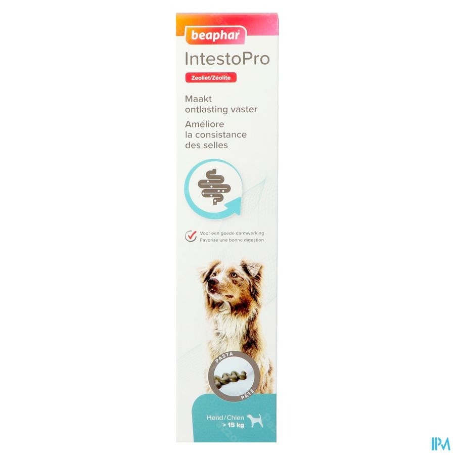 Beaphar Intesto Pro Pasta Hond >15kg 2x20ml