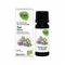 Oak Ess Olie Tijm Thymol 10ml Bio