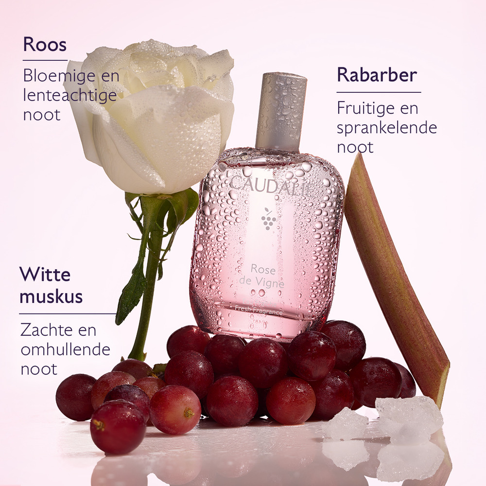Caudalie Rose De Vigne Geurwater 50ml