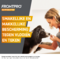 Frontpro 68mg Hond 10-25kg 3 Kauwtabletten