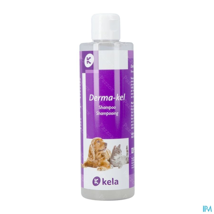 Derma-kel Shampooing 250ml Nf