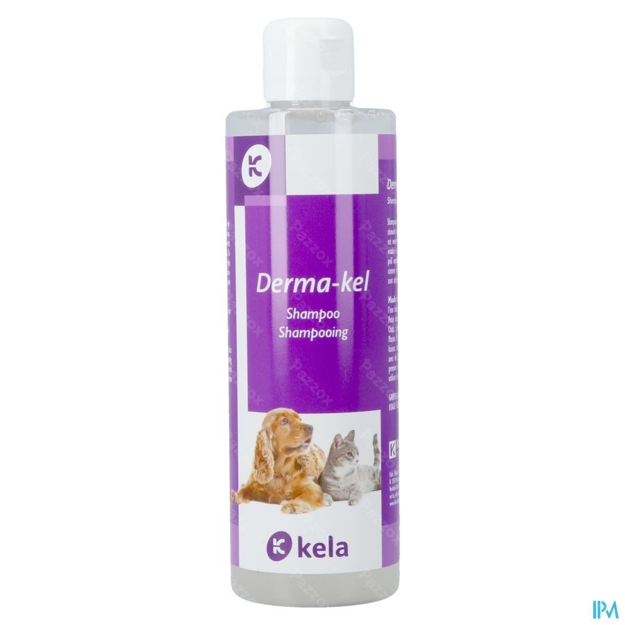 Derma-kel Shampooing 250ml Nf