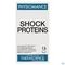 Shock Proteins Comp 15 Physiomance Phy431b