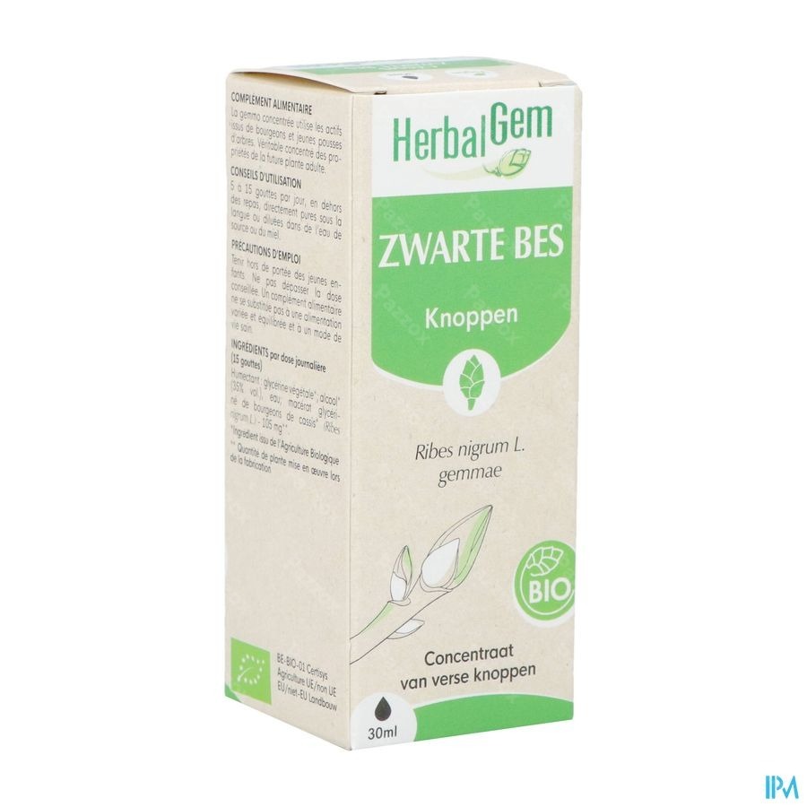 Herbalgem Zwarte Bes Bio 30ml