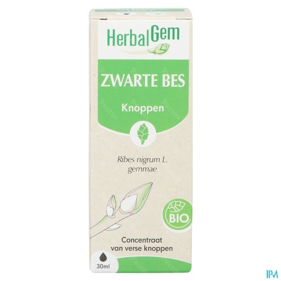 Herbalgem Zwarte Bes Bio 30ml