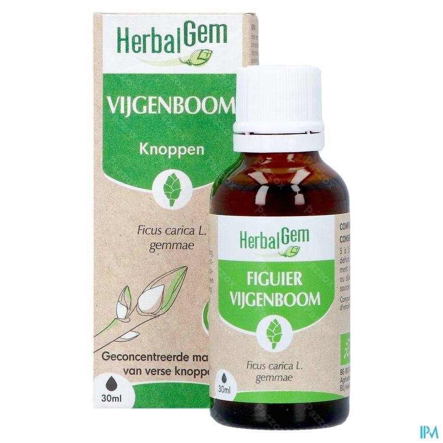 Herbalgem Vijgenboom Bio 30ml