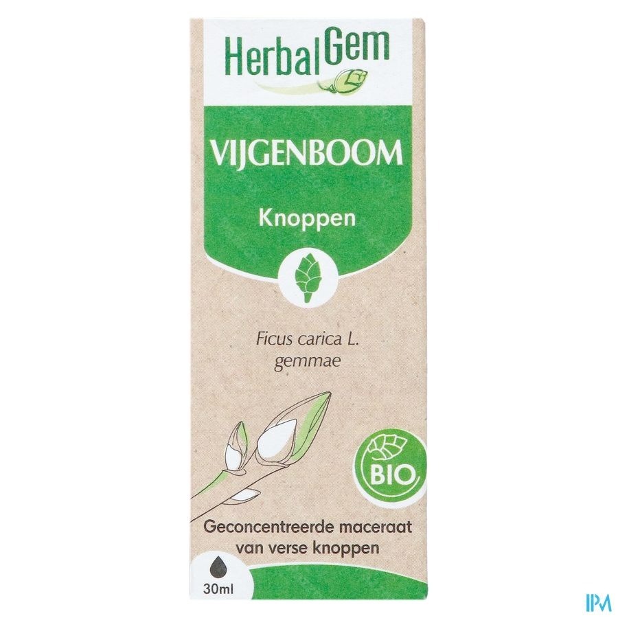 Herbalgem Vijgenboom Bio 30ml