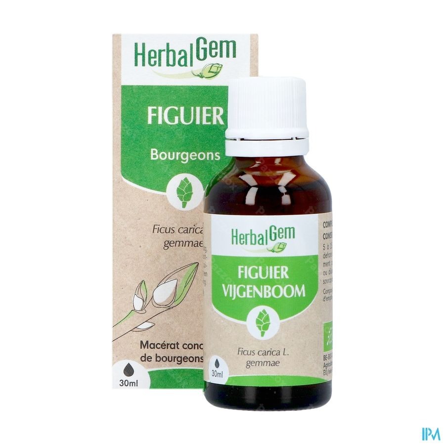 Herbalgem Vijgenboom Bio 30ml