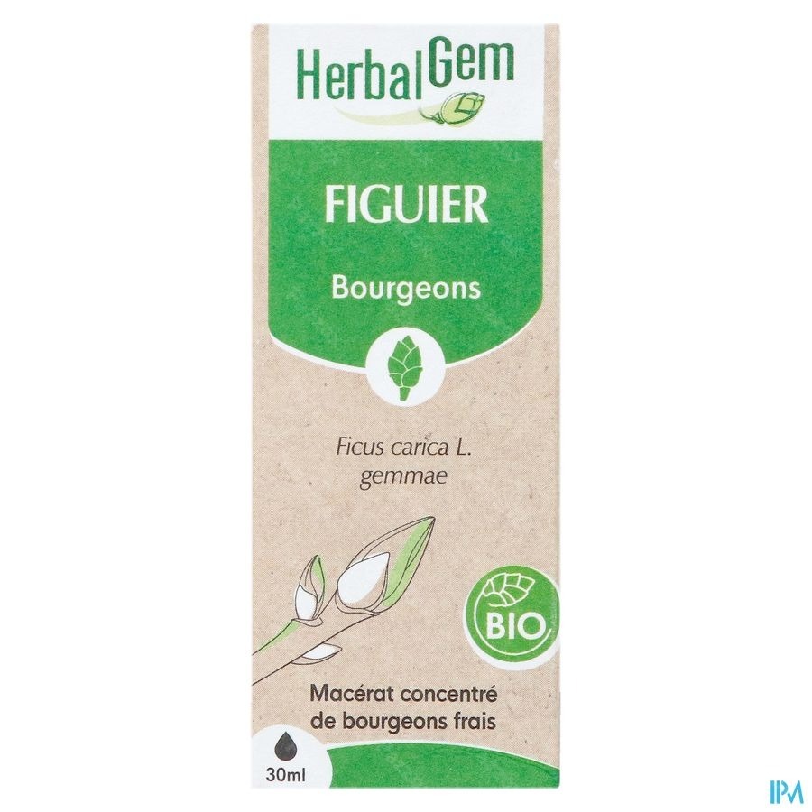 Herbalgem Figuier Bio 30ml
