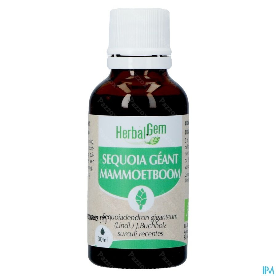 Herbalgem Mammoetboom Bio 30ml