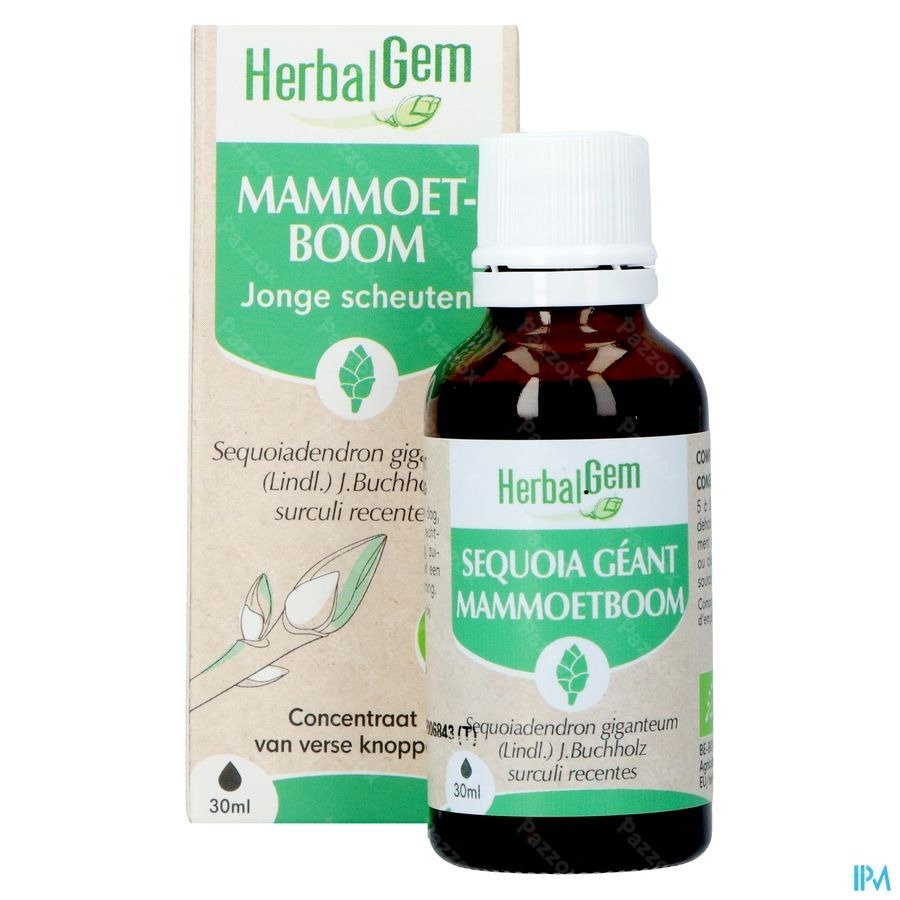 Herbalgem Mammoetboom Bio 30ml