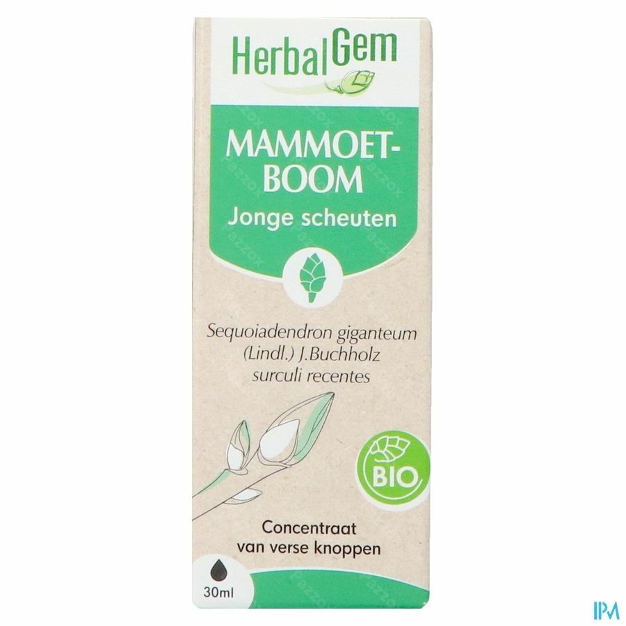 Herbalgem Mammoetboom Bio 30ml