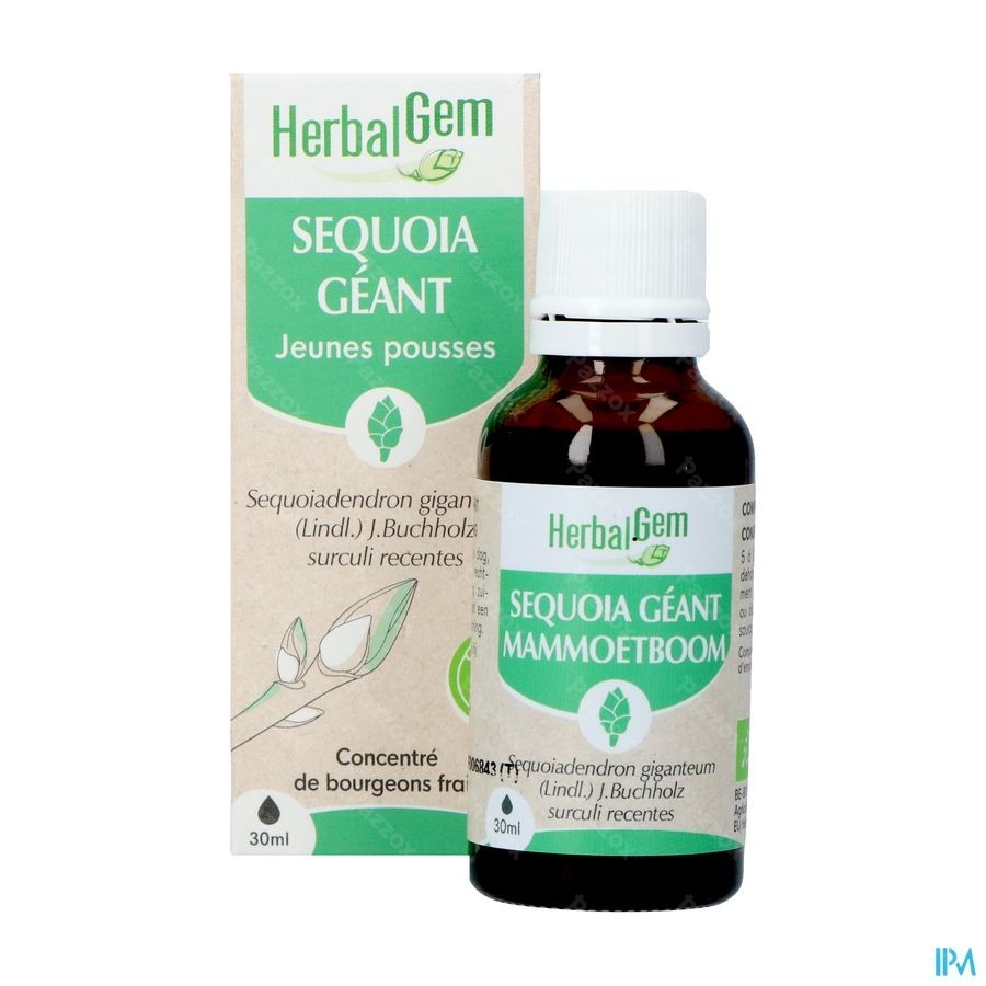 Herbalgem Mammoetboom Bio 30ml
