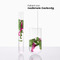 Klorane Cactusvijg Dorststellende Shampoo Hydratatie & glans, Dof haar 200ml