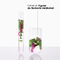 Klorane Hydratation & Brillance Shampoing Désaltérant au Figuier de Barbarie 400 ml
