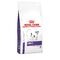 Royal Canin Dog Adult Small Dog Dry 2kg