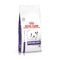 Royal Canin Dog Neutered Adult Small Dog Dry 8kg