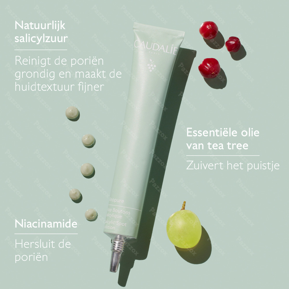 Caudalie Vinopure Salicylzuur Spot Treatment 15ml