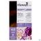 Flowertint Chatain 4.0 140ml