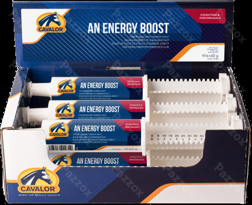 Cavalor An Energy Boost Regain D'énergie 6x60g