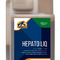Cavalor Hepato Liq Detox Nier en Lever 250ml