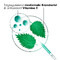Klorane Capillaire Droogshampoo Brandnetel Spray 150 ml